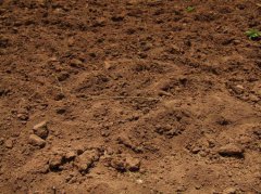 土壤养分检测仪提醒大家土壤污染后果严重