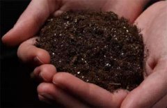 土壤酸碱度检测仪可以随时检测土壤中的酸碱度