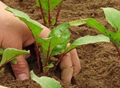 “土壤好医生”——测土配方施肥仪。