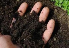 土壤肥料养分检测仪助力“数字化生态农业”发