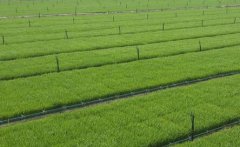 土壤养分检测仪缓解肥料滥用问题