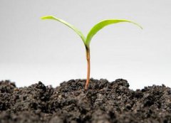 土壤肥料养分检测仪解决农作物“营养不良”问