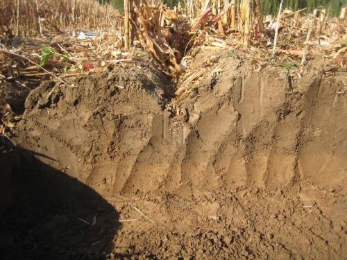 土壤养分快速测定仪