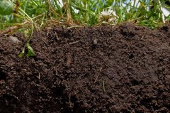 土壤肥料养分检测仪让我们科学施肥