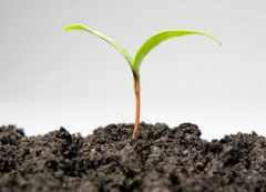 土壤养分速测仪效益广