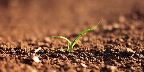 为什么土壤养分检测仪功用明显？