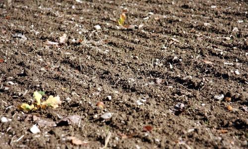 土壤肥料养分检测仪的应用意义