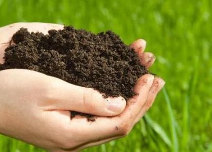 什么是氨基酸肥料？对土壤作物有何作用