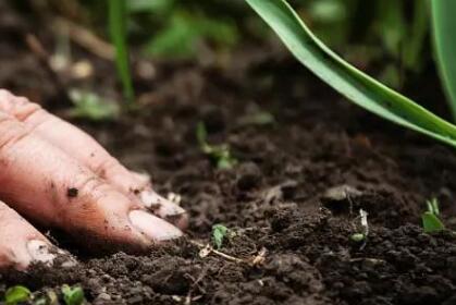 土壤墒情检测仪