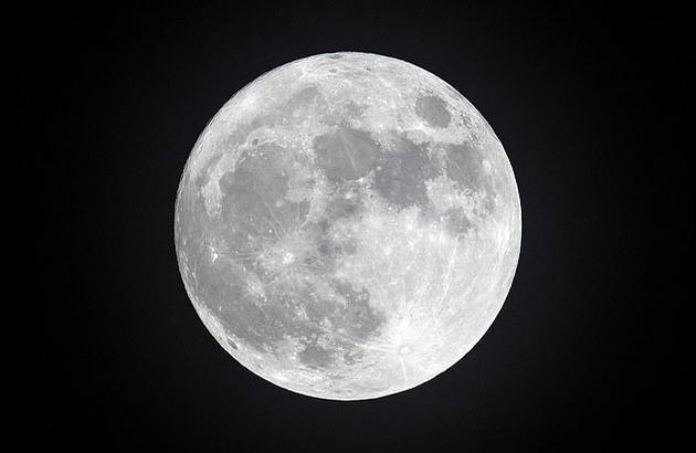 火星和月球模拟土壤中可成功种植九种农作物