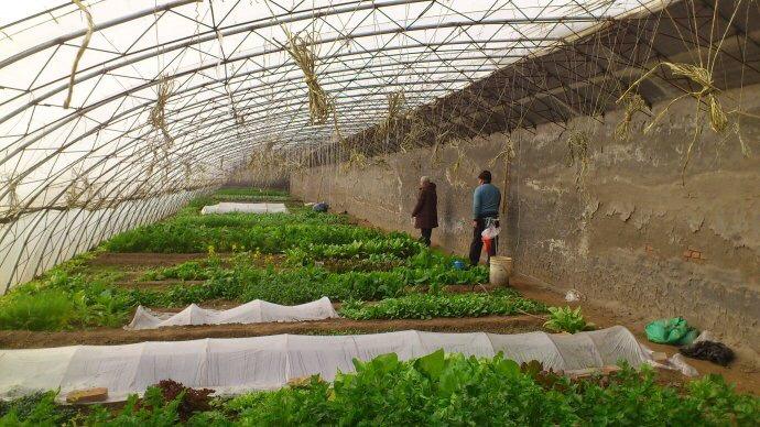 土壤肥料养分检测仪