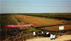 土壤养分速测仪采集样本注意事项