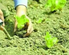 土壤微量元素仪缓解农作物“营养不良”问题
