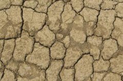 土壤水分测定仪助力农业墒情研究