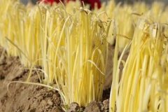 测土配方施肥仪无需专业人士进行操作