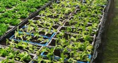 测土配方施肥仪提高有机肥施加水平